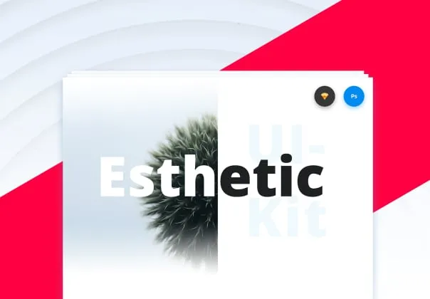 Esthetic UI Kit