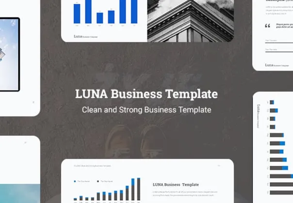 Luna Business Company Theme