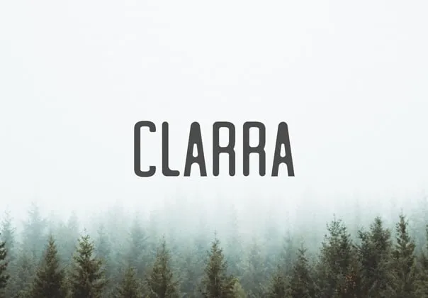 Clarra Sans Serif Family