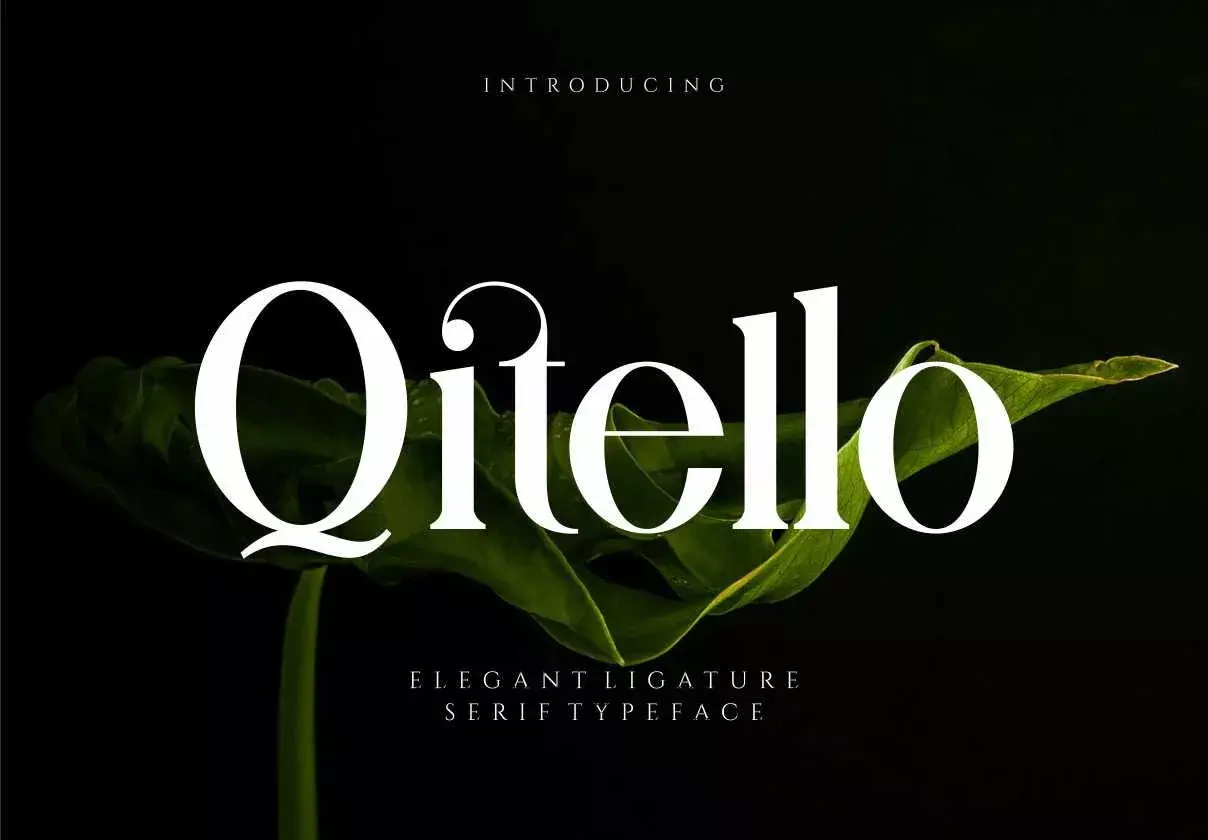 Qitello Ligature Serif Typeface