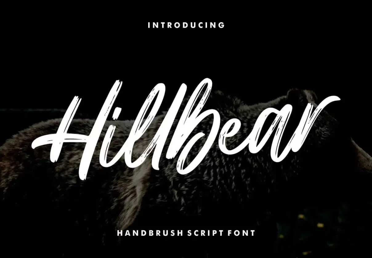 Hillbear - Handbrush Script Font