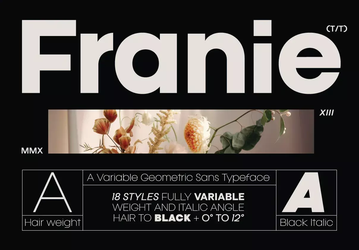 Franie is a variable font family in 18 styles