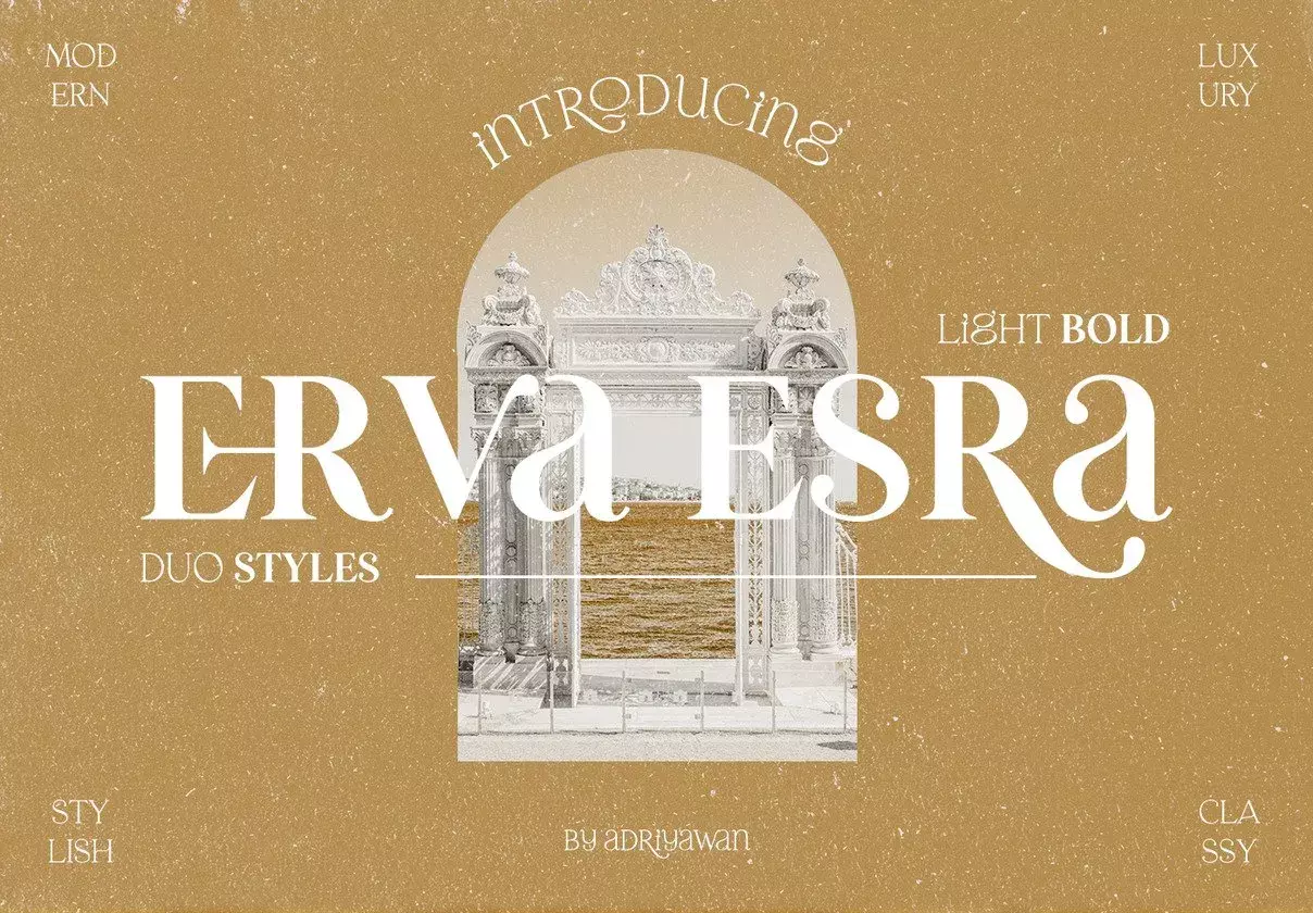 Erva Esra - Modern Quirky Serif Font